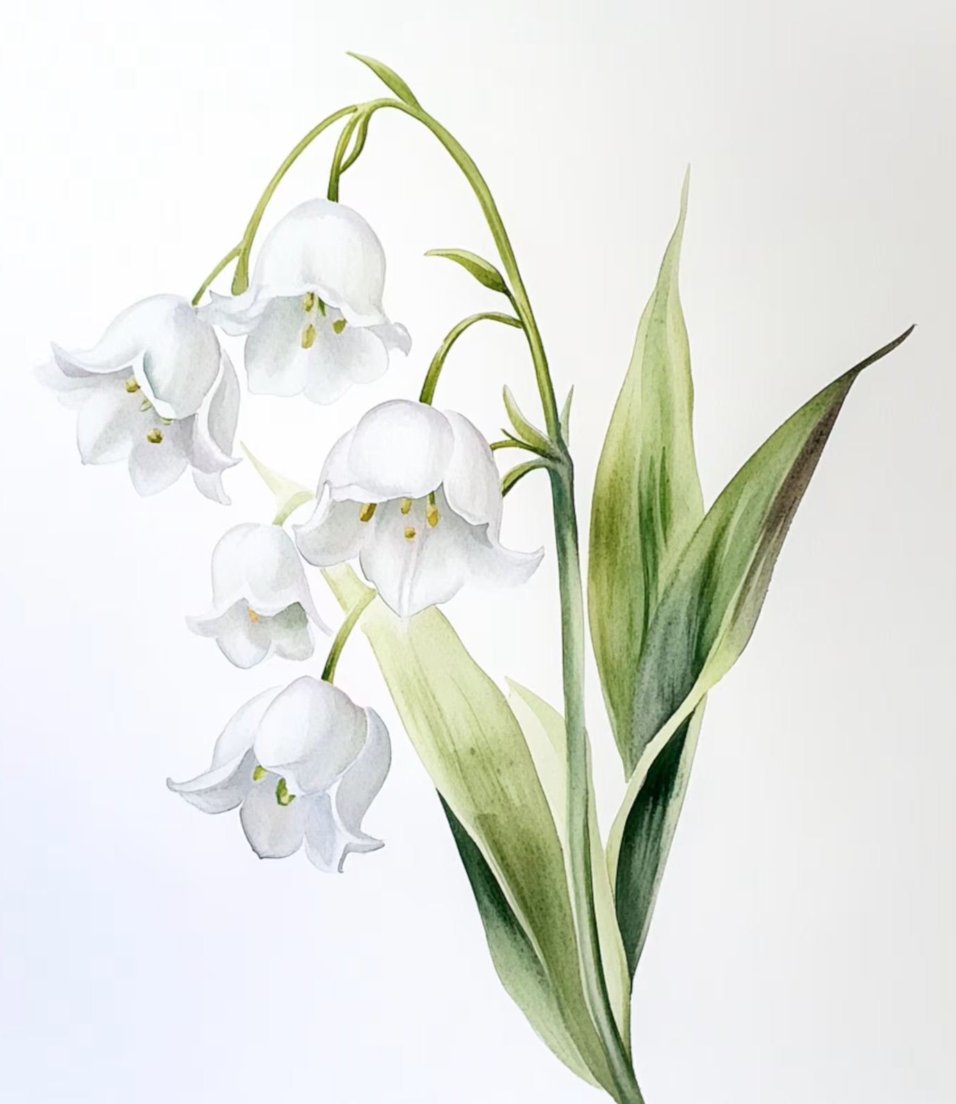 Joke van Rees overleden